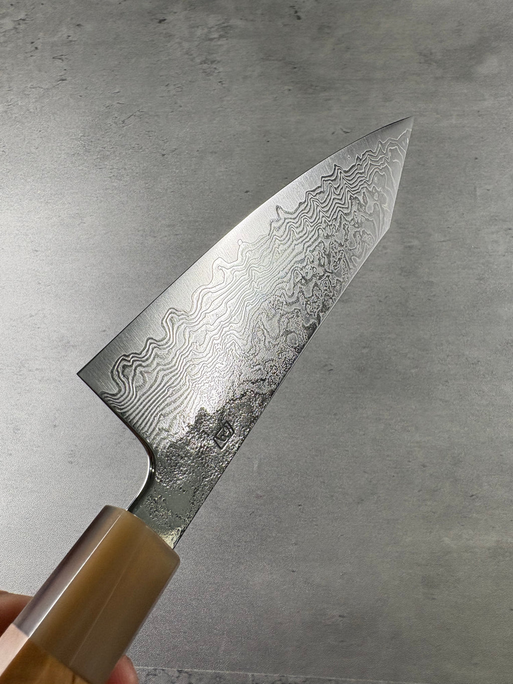 Enkyu Homuragumo　Gyuto 210mm Quince Burl wood handle