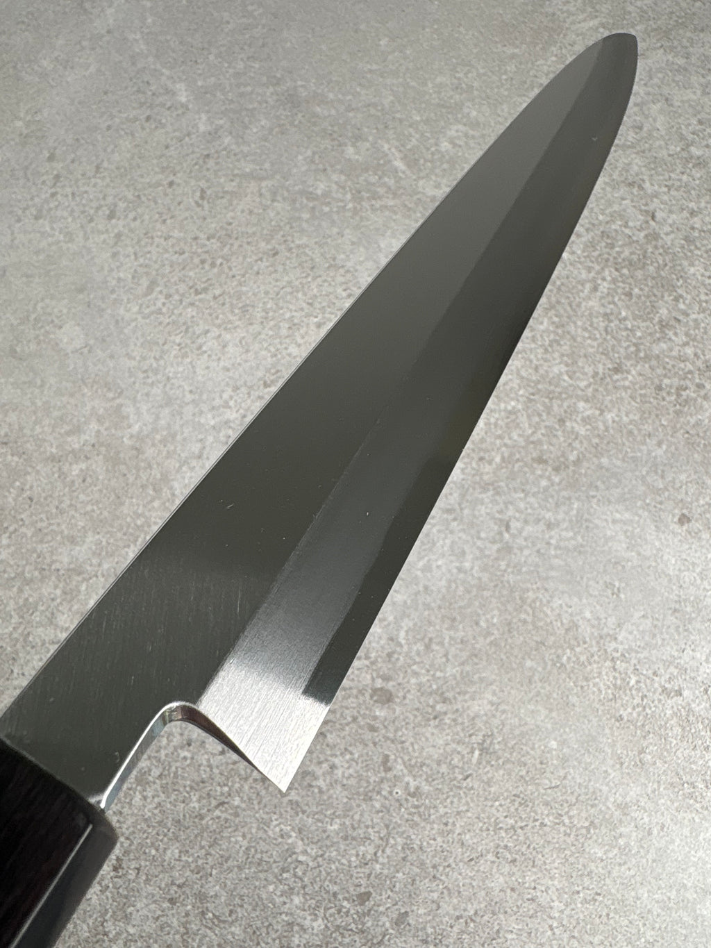 Masaya Shimizu x  Satoshi Nakagawa Blue 1 Yanagi 300mm