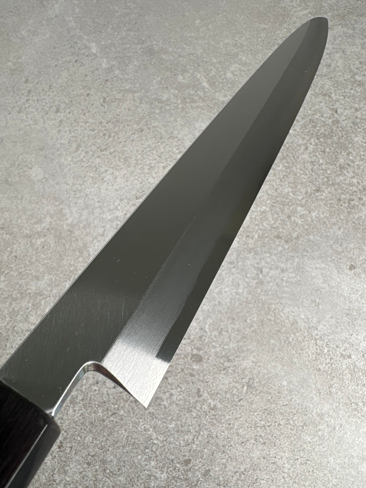 Masaya Shimizu x  Satoshi Nakagawa Blue 1 Yanagi 300mm