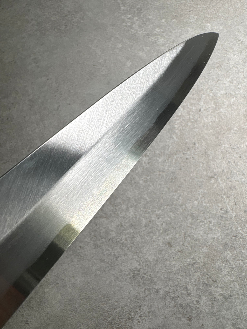 Masaya Shimizu x  Satoshi Nakagawa Blue 1 Yanagi 300mm
