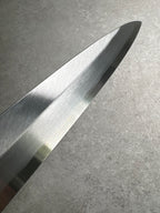 Masaya Shimizu x  Satoshi Nakagawa Blue 1 Yanagi 300mm