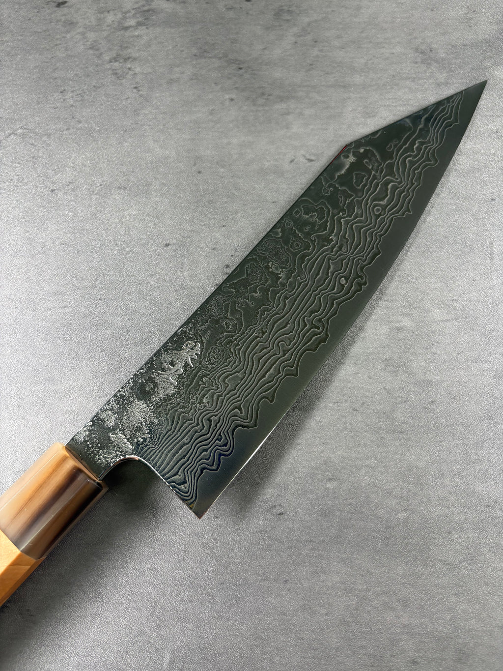 Enkyu Homuragumo　Gyuto 210mm Quince Burl wood handle